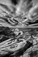 Shoreline