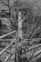 the Corner Pole - Bedrock