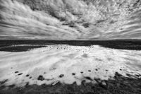 Soul of Owyhee