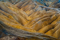 Yellow Hills