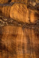 Drip Lines