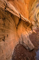 Willis Creek Wow!