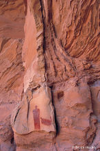 Lady of the Canyon