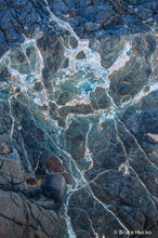 Rock Web