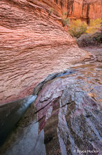 Escalante,Grand Staircase-Escalante NM,Peek-a-Boo Canyon,Willow Canyon