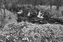 Bedrock Falls