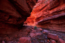 Fire Around the Bend