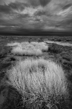 Grass-Cloud Repartee