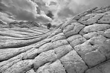 Lone Pine