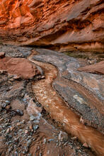 Onion Creek #1