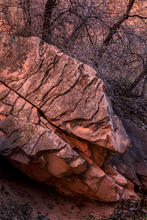 Rooted Rock