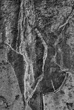 Seep Painting BW