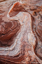 Arizona Strip,Arizona Strip BLM,Navajo Sandstone,Navajo Sandstone formations,Paria,Vermilion Cliffs National Monument,White Pocket...