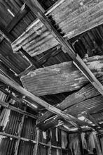 Cabin Ceiling II