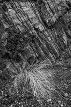 Titus Wall