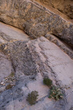 Marble 12