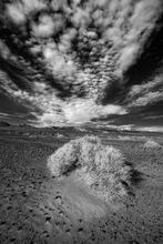 Cloud Drop