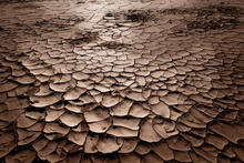 Parched