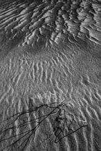 Calligraphic Sand BW