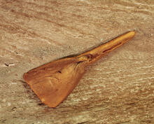 Splayed Antler Ladle, in-situ