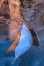 Ice Leaf