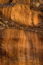 Drip Lines