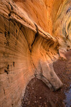 Willis Creek Wow!