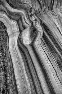 Core Flow