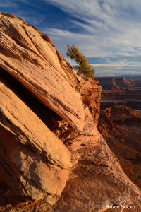 Dead Horse Point State Park