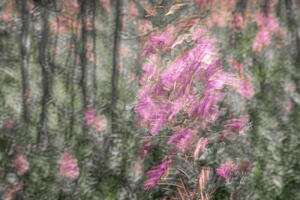 Foott for Monet