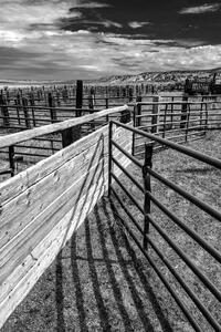 Geometry of the West