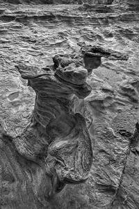 Texture Forms