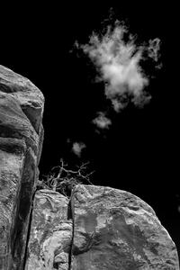 Thought Cloud