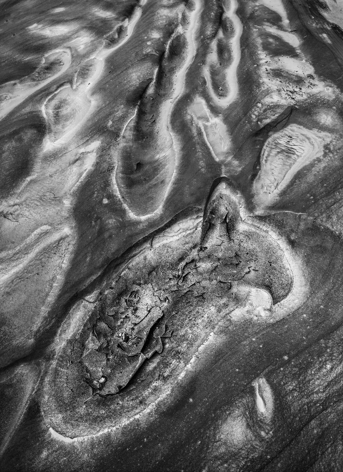Detritus
