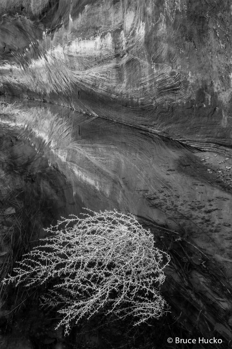 Arches BW,Arches National Park,Canyonlands BW,Canyonlands National Park,arches NP,arches NP colorado plateau sandstone,arches...