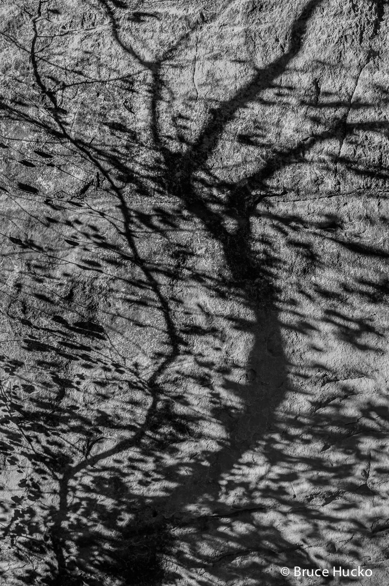 Arches BW,Arches National Park,Canyonlands BW,Canyonlands National Park,arches NP,arches NP colorado plateau sandstone,arches...