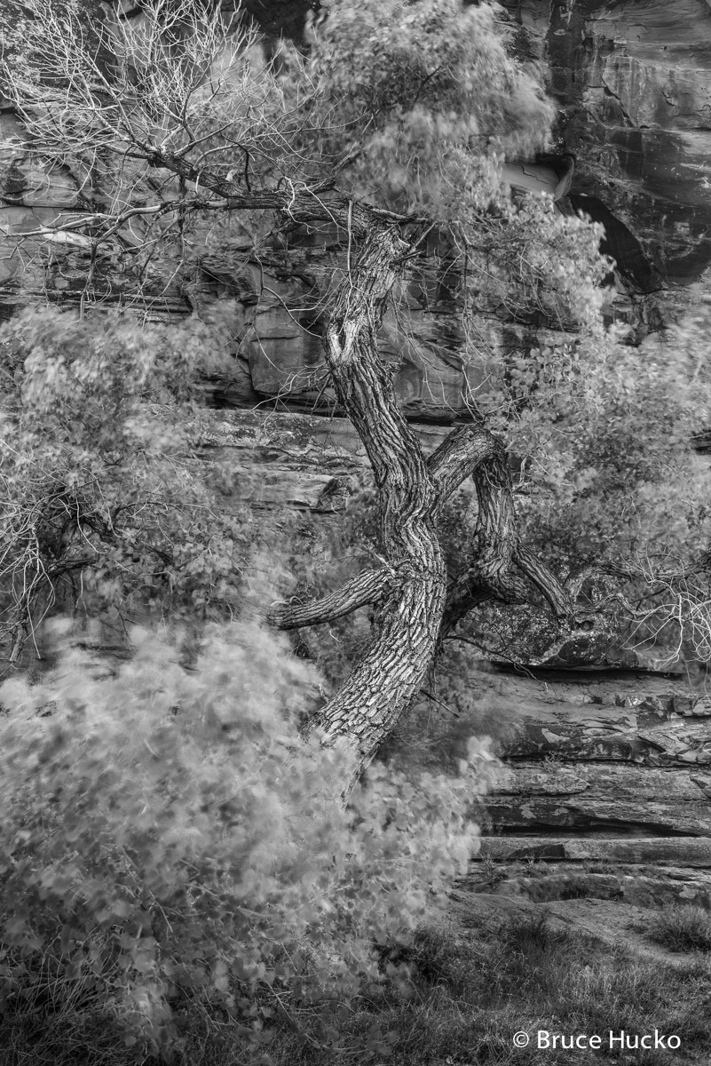 Arches BW,Arches National Park,Canyonlands BW,Canyonlands National Park,Georgia Workshop 2014,arches NP,arches NP colorado plateau...