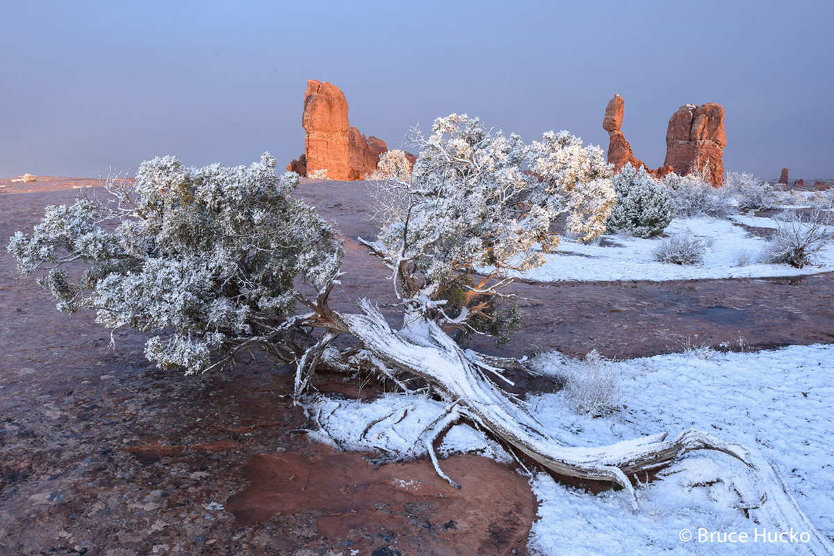 Arches National Park,arches NP