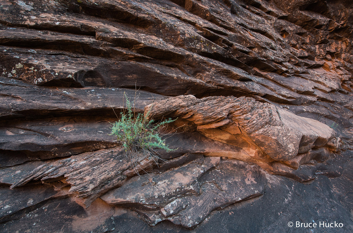 Hunter's Canyon, Moab, Moab area, Moab area BLM, Moab area non NPS, SE Utah, slickrock