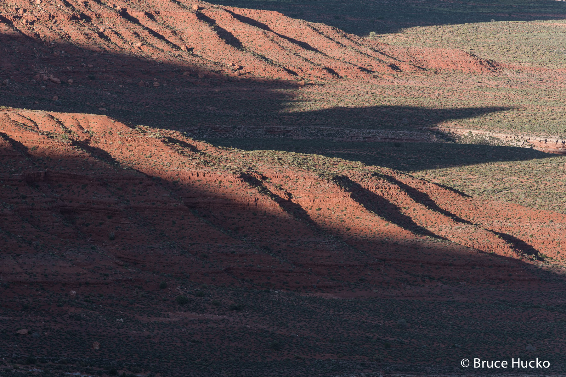 Cedar Mesa, Cedar Mesa landscape, SE Utah