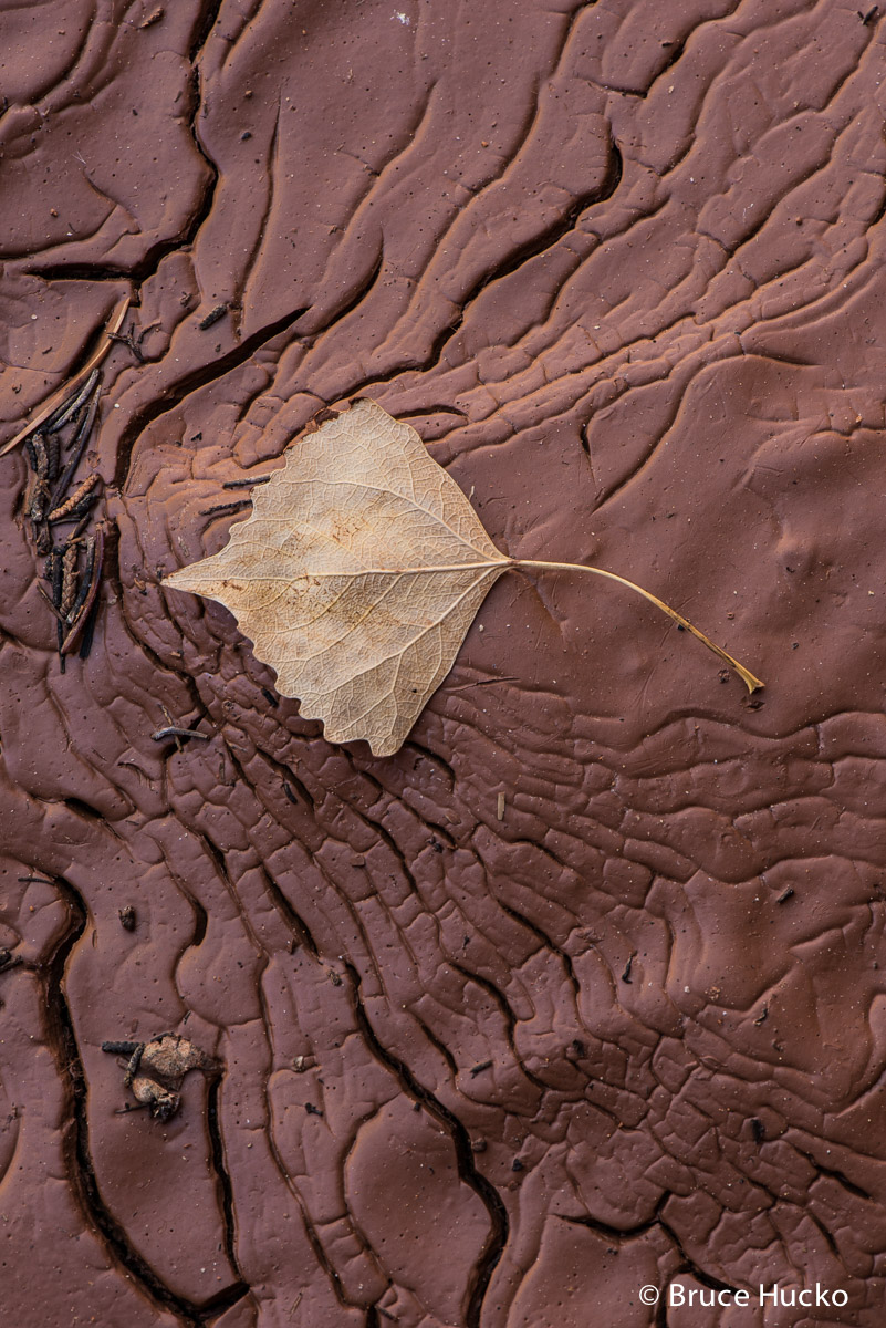 capital reef NP
