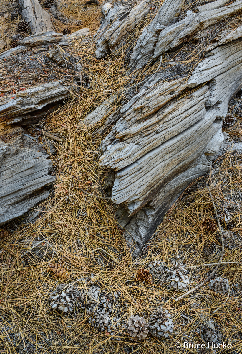 Torrey,boulder mtn,capital reef NP,colorado plateau,colorado plateau sandstone