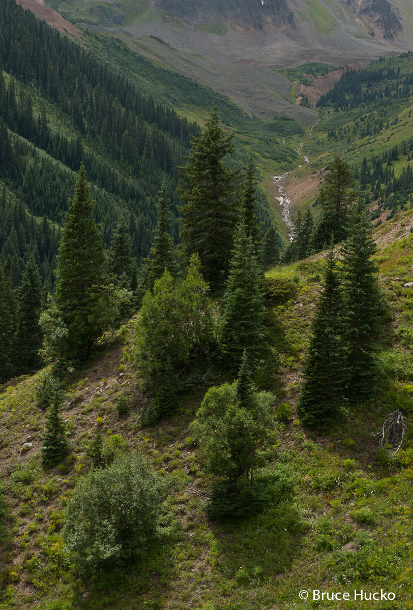 Alta,Colorado,Ghost Town,Million Dollar Highway,Ophir Pass,Ouray,SW Colorado,Telluride