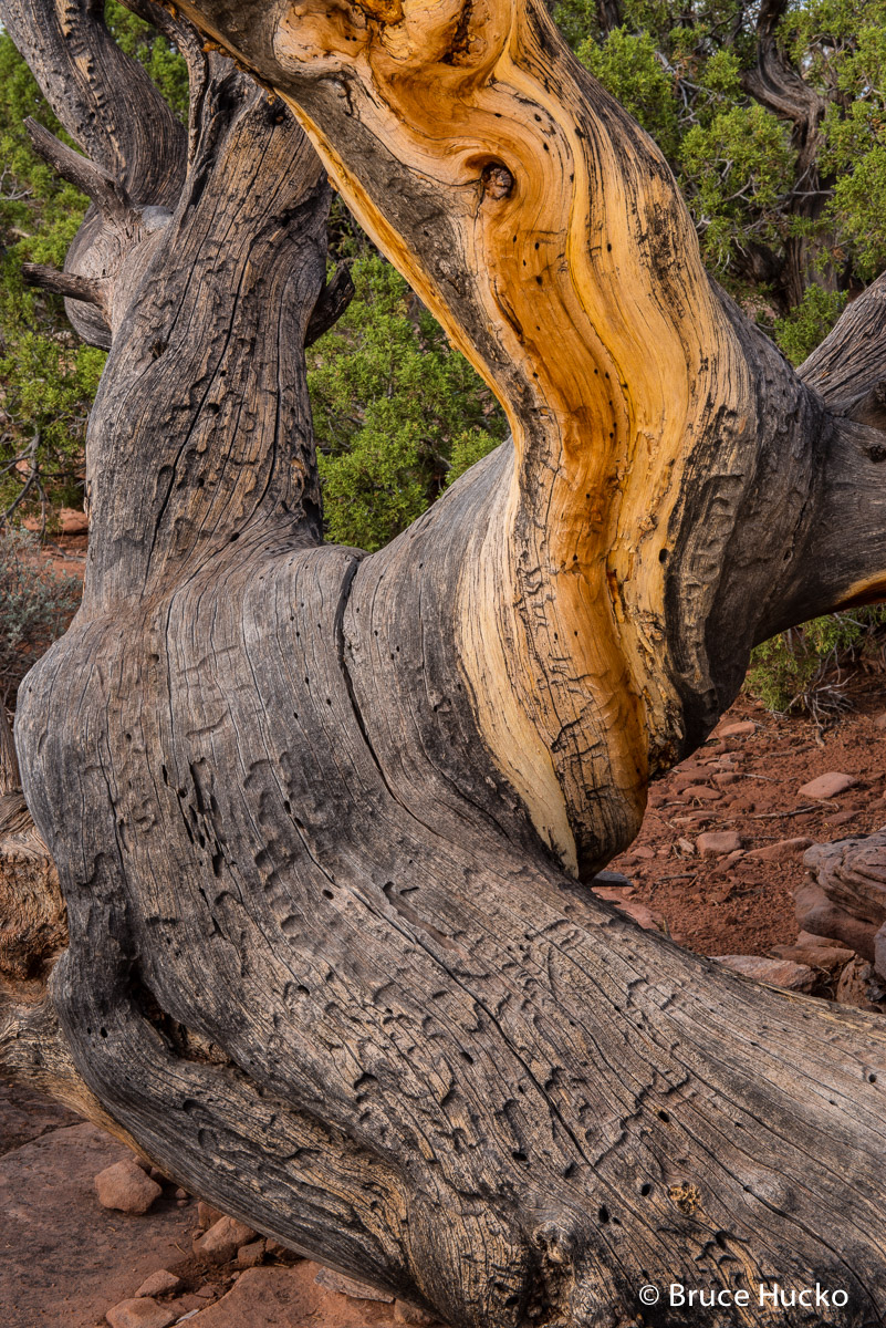 Dead Horse Point,Southeast Utah landscape