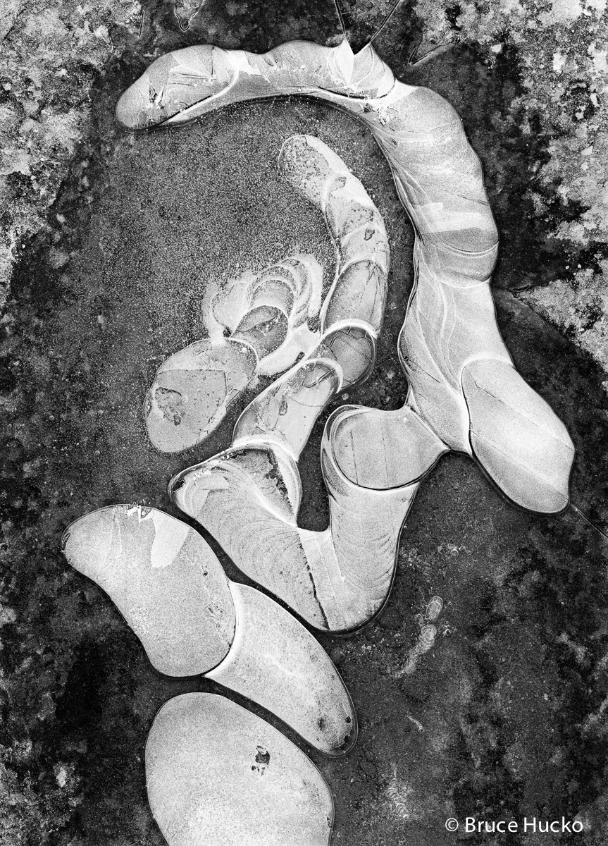 desert ice book,ice,ice BW,ice blurb book