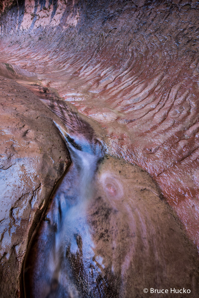 Escalante,Grand Staircase-Escalante NM,Peek-a-Boo Canyon,Willow Canyon