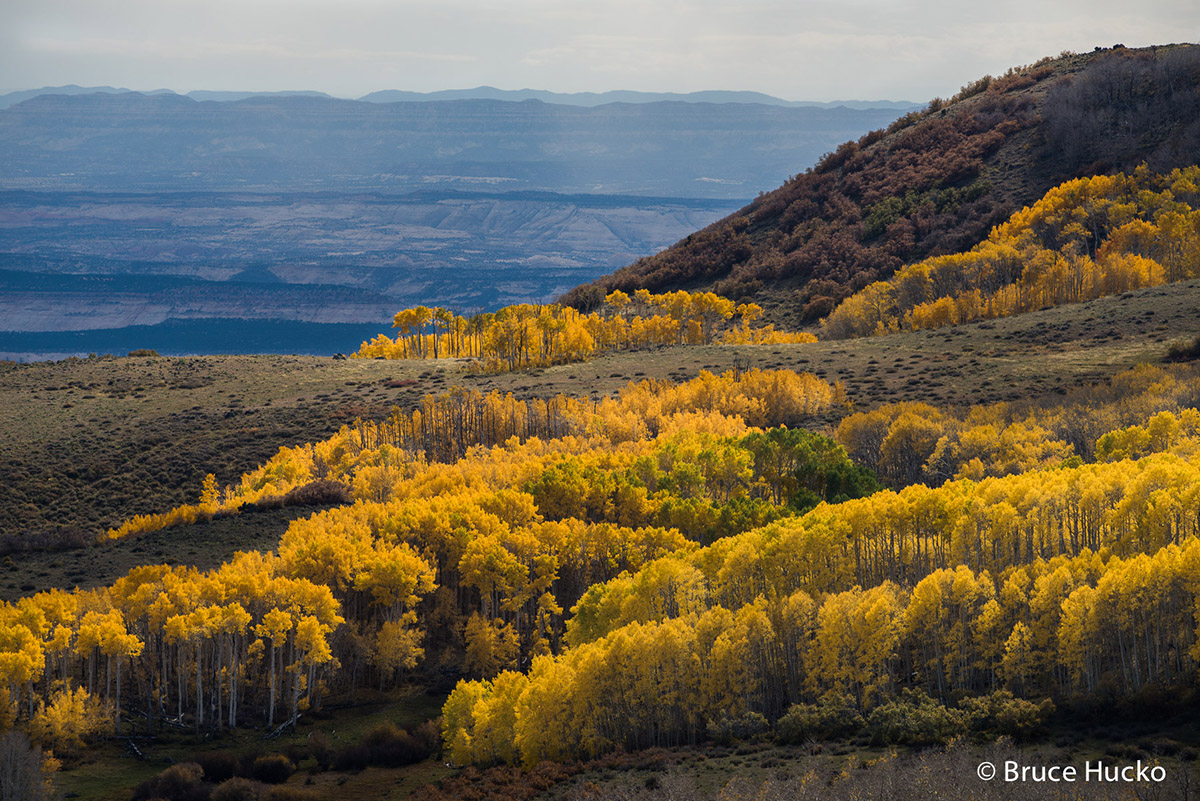 Escalante,Fall Colors,boulder mtn