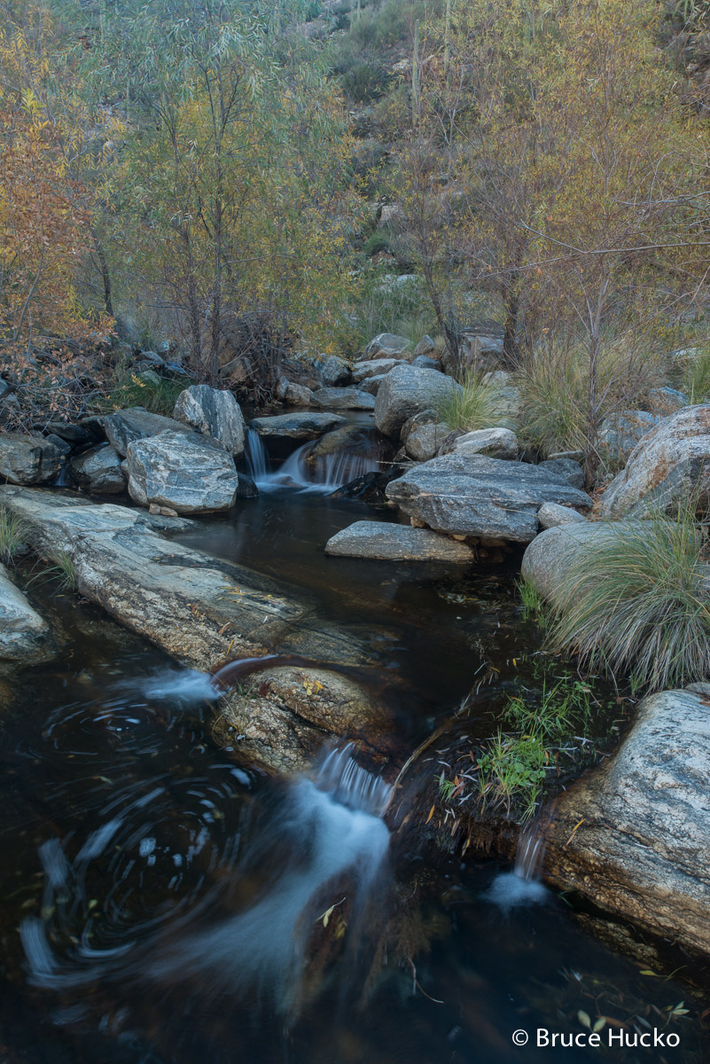 Bear Canyon,Sabino Canyon,Sabino Recreation Area,Sonoran Desert,Tucson area