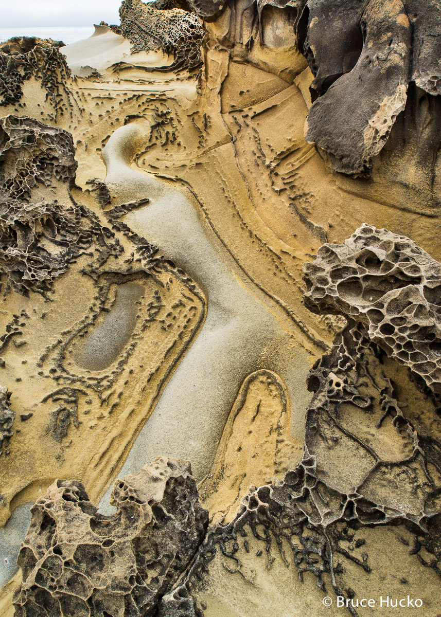 Coast,Salt Point State Park,Sandstone abstracts,northern CA,sandstone and ocean