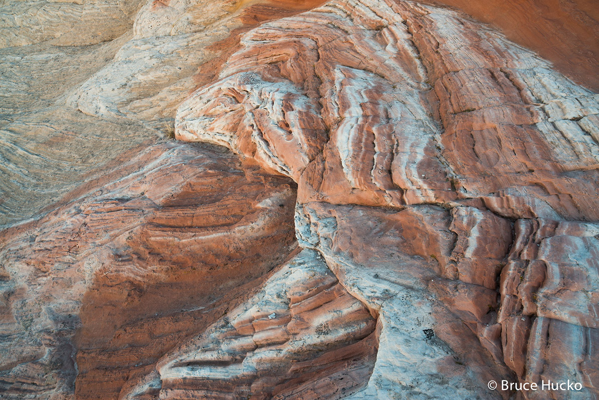 Arizona Strip,Arizona Strip BLM,Navajo Sandstone,Navajo Sandstone formations,Paria,Vermilion Cliffs National Monument,White Pocket...